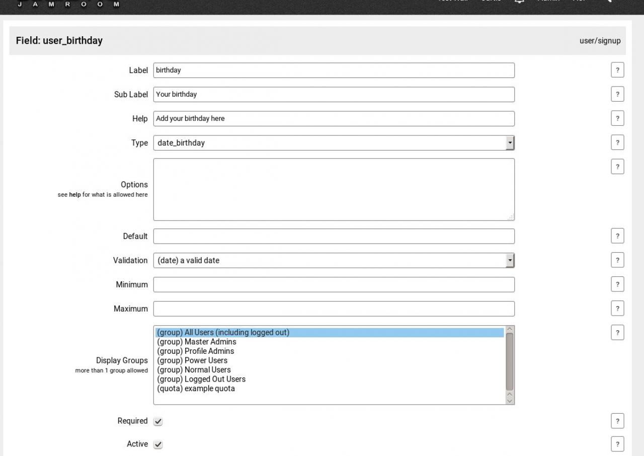 Form Designer settings that created the Birthday field